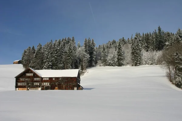 Schilderachtig Uitzicht Majestueuze Alpen Landschap — Stockfoto