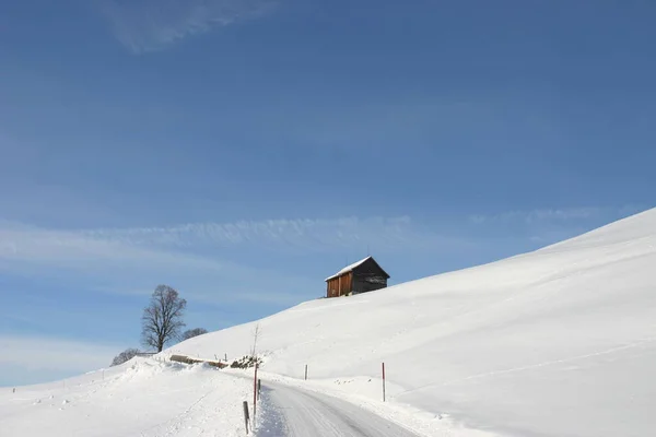 Vista Panorámica Del Hermoso Paisaje Los Alpes —  Fotos de Stock