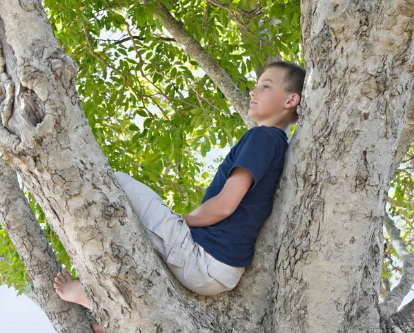Αγόρι Ένα Δέντρο Που Δείχνει Σκεπτικός Βαριέται — Φωτογραφία Αρχείου