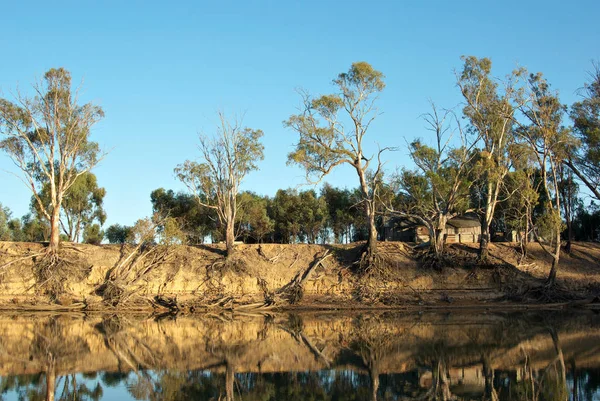 Een Oud Houten Huis Tussen Bomen Aan Rivier Murray — Stockfoto