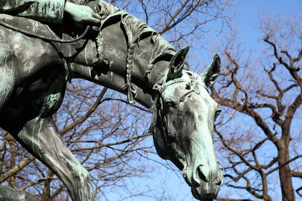 Berlin Electoral Fuchsjagd Tiergarten —  Fotos de Stock