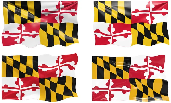 Grande Image Drapeau Maryland — Photo