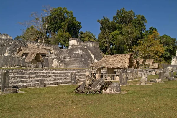 コロンビア前マヤ遺跡の中央アクロポリス ユネスコ世界遺産に登録されたグアテマラのティカル ペテン国立公園 — ストック写真