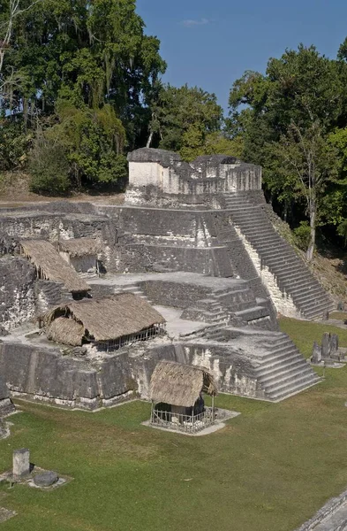 Acropole Nord Vue Temple Sur Site Maya Précolombien Dans Parc — Photo