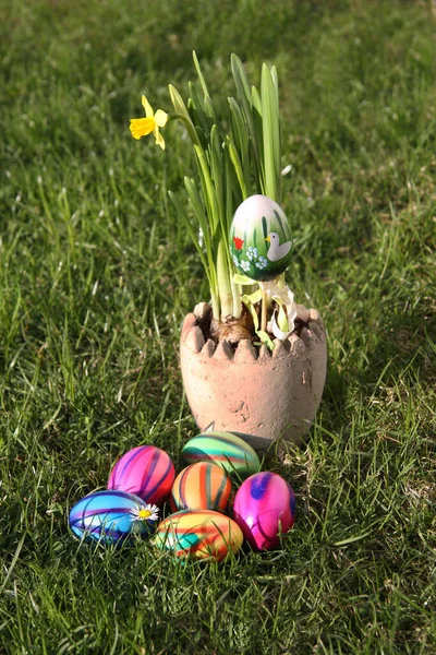 Huevos Pascua Hierba —  Fotos de Stock