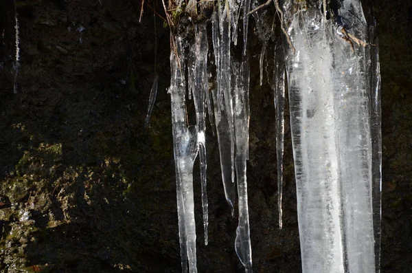 Icicles Durante Frio Dia Inverno — Fotografia de Stock