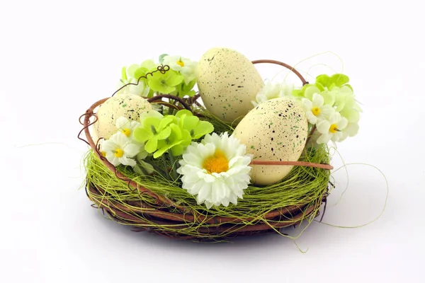 Яйца Цветах Траве — стоковое фото