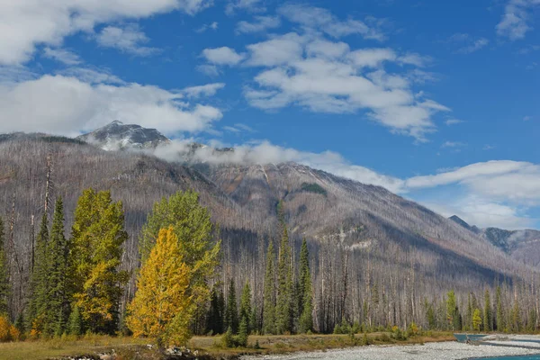 Río Vermillion Parque Nacional Kootenay Columbia Británica Canadá —  Fotos de Stock