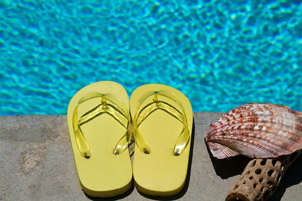 Gekleurde Teenslippers Van Een Gezin Van Vier Bij Het Zwembad — Stockfoto