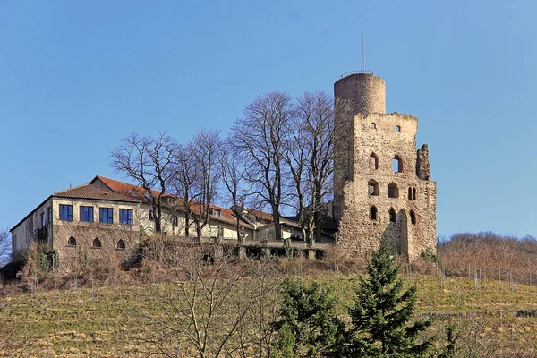 Die Rochenburg Erhebt Sich Als Wahrzeichen Über Der Weinstadt Schriesheim — Stockfoto