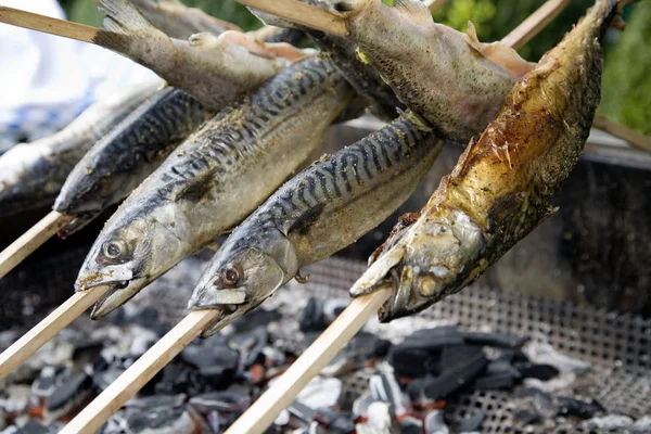 Bajorország Szabad Állam Németország Tengerparttal Nem Rendelkező Állama — Stock Fotó