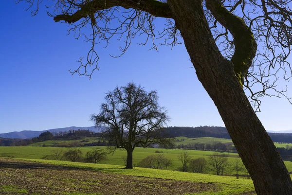 Vorbergzone Del Bosque Negro Con Ruina Hochburg Emmendingen Alemania Europa — Foto de Stock