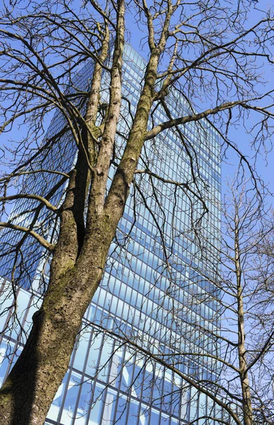 Messeturm Padrão Recintos Feiras Basileia Suíça Europa — Fotografia de Stock