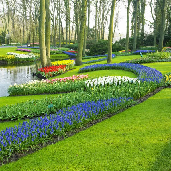 Keukenhof Gardens Lisse Países Baixos — Fotografia de Stock