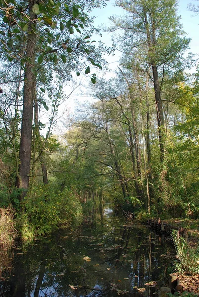 Kanal Spreewald — Stockfoto