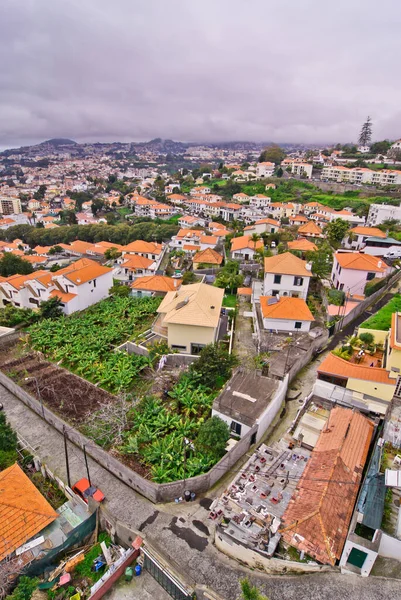 Anichten Funchal Maderze — Zdjęcie stockowe