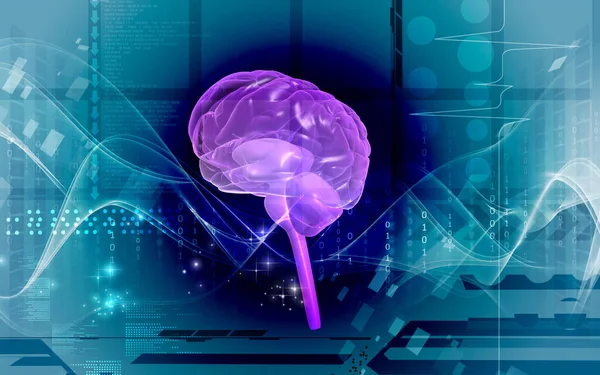 Ilustración Digital Del Cerebro Fondo Color — Foto de Stock