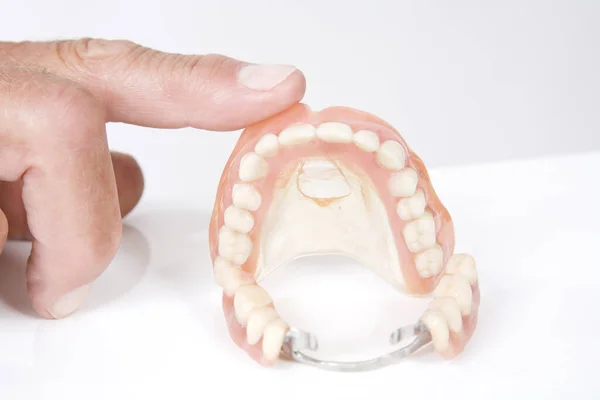 Human Hand Holding Tooth Model — Stock Photo, Image