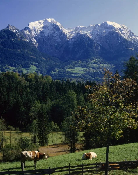 Bayern Unik Kultur Stort Set - Stock-foto