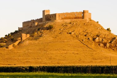 castle in Medellin, Badajoz Province, Extremadura, Spain clipart