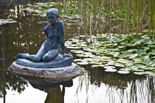 Estanque Con Una Escultura Lirios Agua Isla Margarita Budapest — Foto de Stock