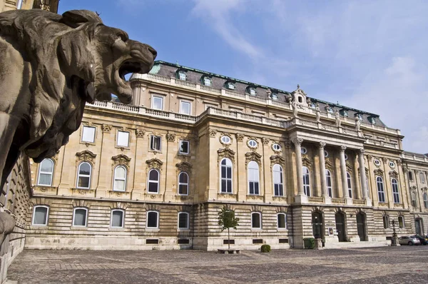 Detalj Domstol Slottet Budapest — Stockfoto