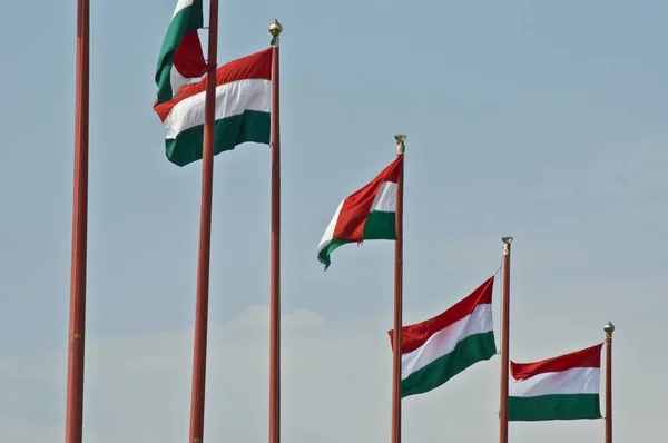 Sok Magyar Zászlók Alatt Közlekedő Szél — Stock Fotó