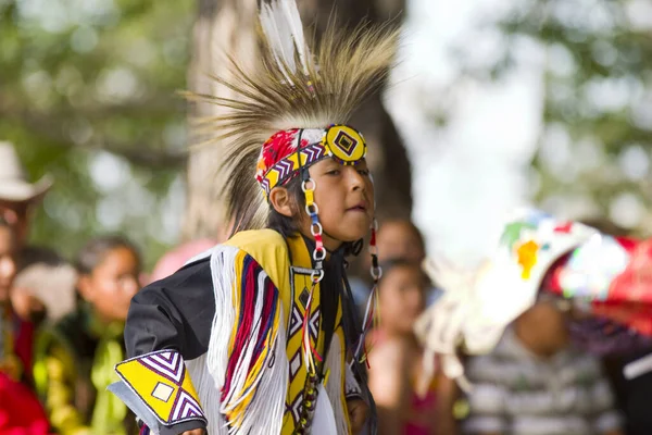 Autochtone Amerikaanse Jongen Dansen Powwow — Stockfoto