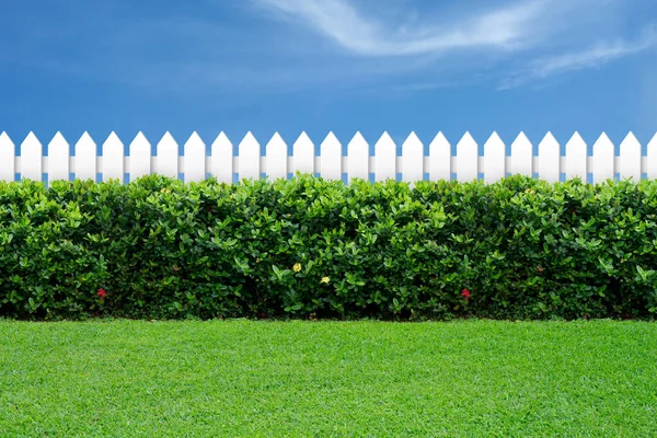 White fence and green grass on blue sky.