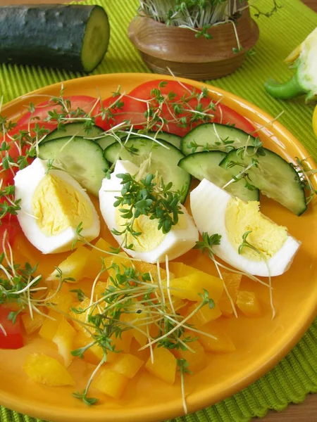 Tere Yumurtalı Renkli Salata — Stok fotoğraf