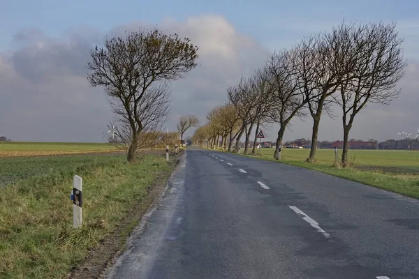 Route Printemps Avec Arbre Solitaire — Photo