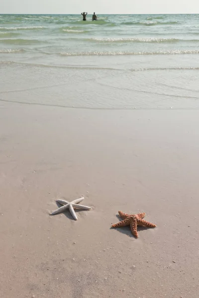 Idyllic Summer Vacation Background Copy Space — Stock Photo, Image