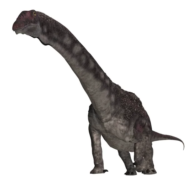 Dinosaurie Diamantinasaurus Rendering Med Klippbana Och Skugga Över Vitt — Stockfoto