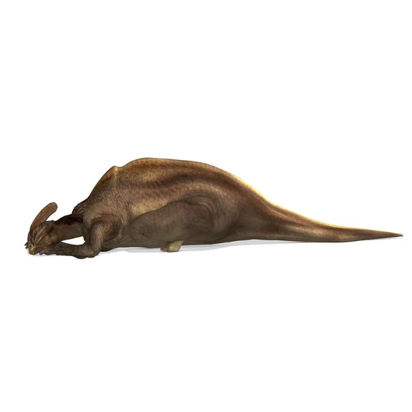 Dinozor Parasaurolophus Kesme Yolu Beyaz Üzerine Gölge Ile Görüntüleme — Stok fotoğraf