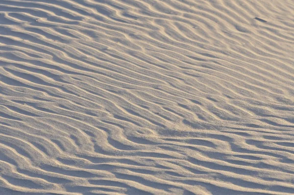 Dune Sand Surface Desert — Stock Photo, Image