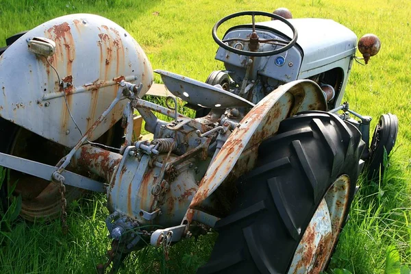 Вінтажний Трактор Зеленому Лузі — стокове фото