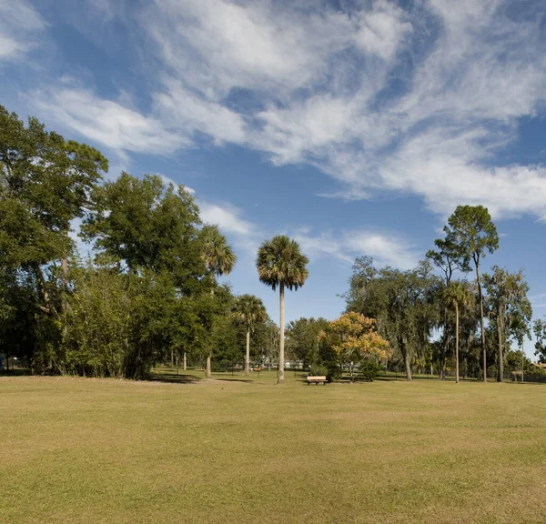 Dog Park Palm Bay Florida — Stok Foto