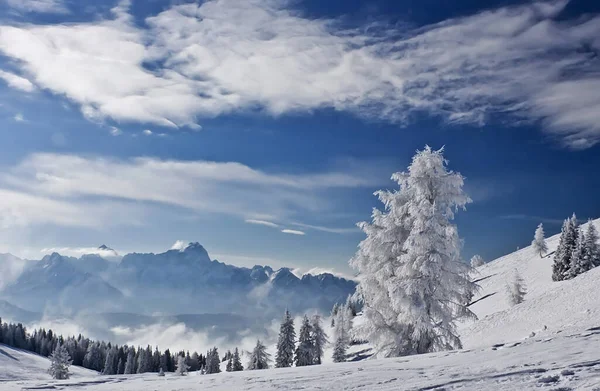 Táj Karintia Alpokban — Stock Fotó