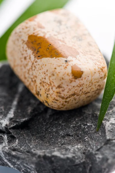 Natuurlijke Steen Jasper Schittert Prachtige Kleuren Witte Grond — Stockfoto