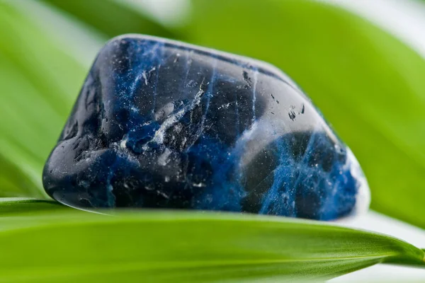 Pierre Naturelle Sodalite Apparaît Dans Belles Couleurs Sur Fond Blanc — Photo