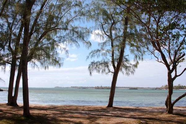 Costa Oeste Del Mauritano Fotografiado Noviembre 2010 — Foto de Stock