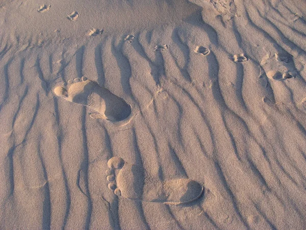 Scenic View Dunes Selective Focus — Stock Photo, Image