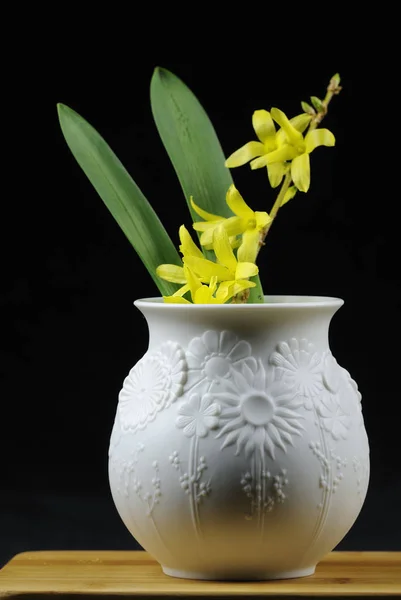 Belas Flores Amarelas Pote Fundo Preto — Fotografia de Stock