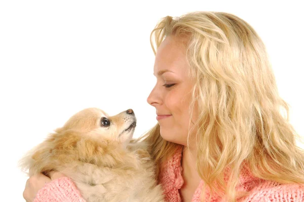 Genç Bir Kadın Onun Pomeranian Bakışları Birbirlerine — Stok fotoğraf