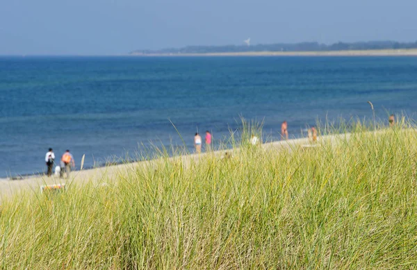 Панорама Пляже — стоковое фото