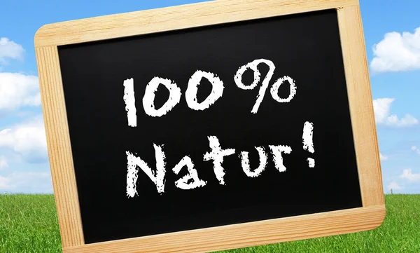 100 Natural Conceito Bio Amp Ecologia — Fotografia de Stock