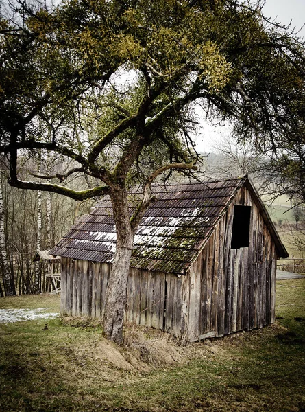 冬の木のある小さな木製の納屋 — ストック写真