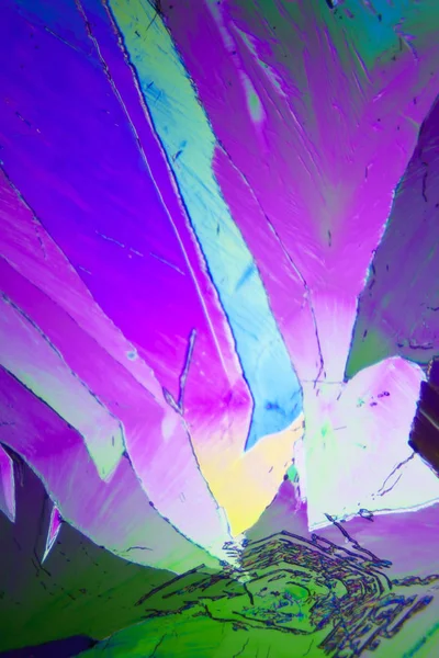 Microcrystals Tartaric Acid Polarized Light — Stock Photo, Image