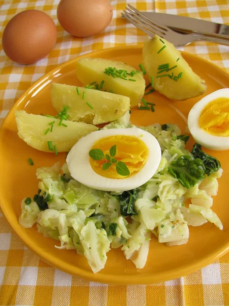 带有土豆和鸡蛋的奶油卷心菜 — 图库照片