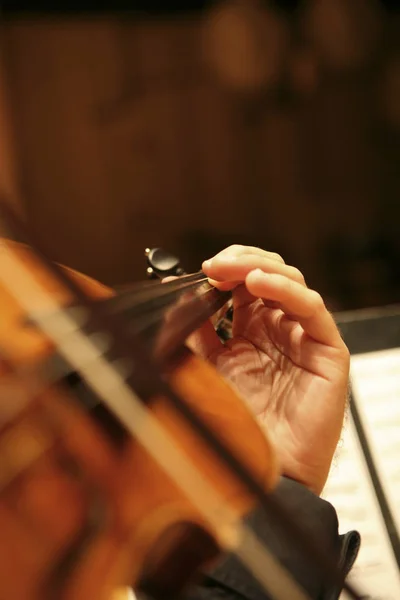 Close Hand Holding Violin — Stock Photo, Image